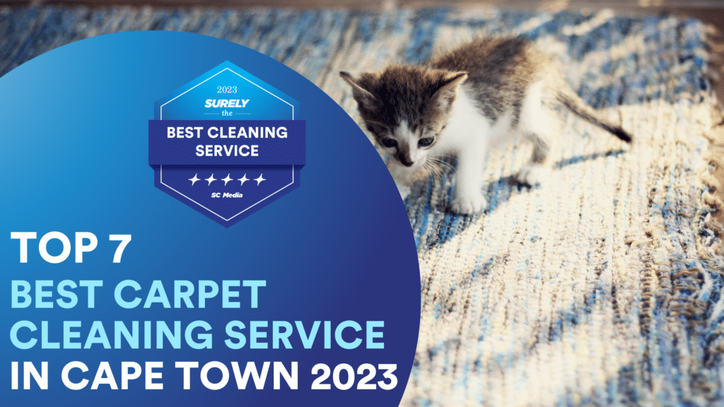 7 Best Options For Carpet Cleaning In Cape Town 2023
