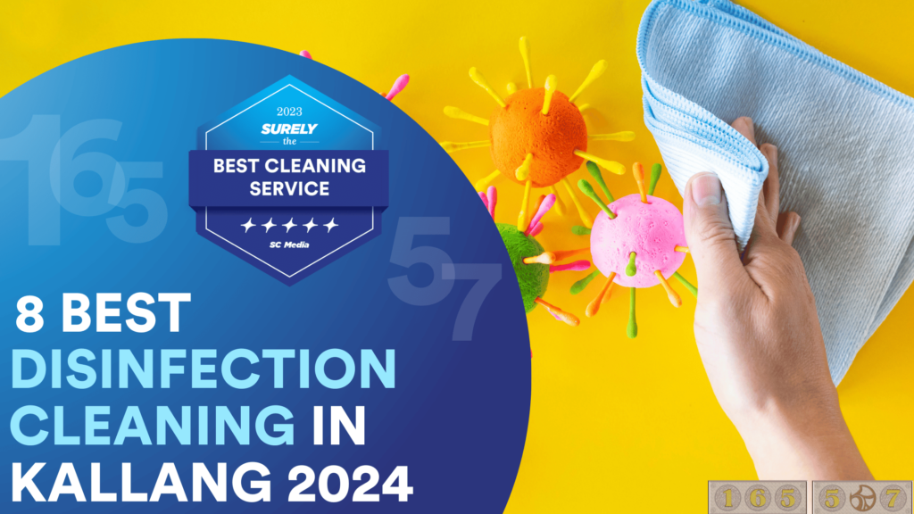 8 Best Disinfection Cleaning Service in Kallang 2024