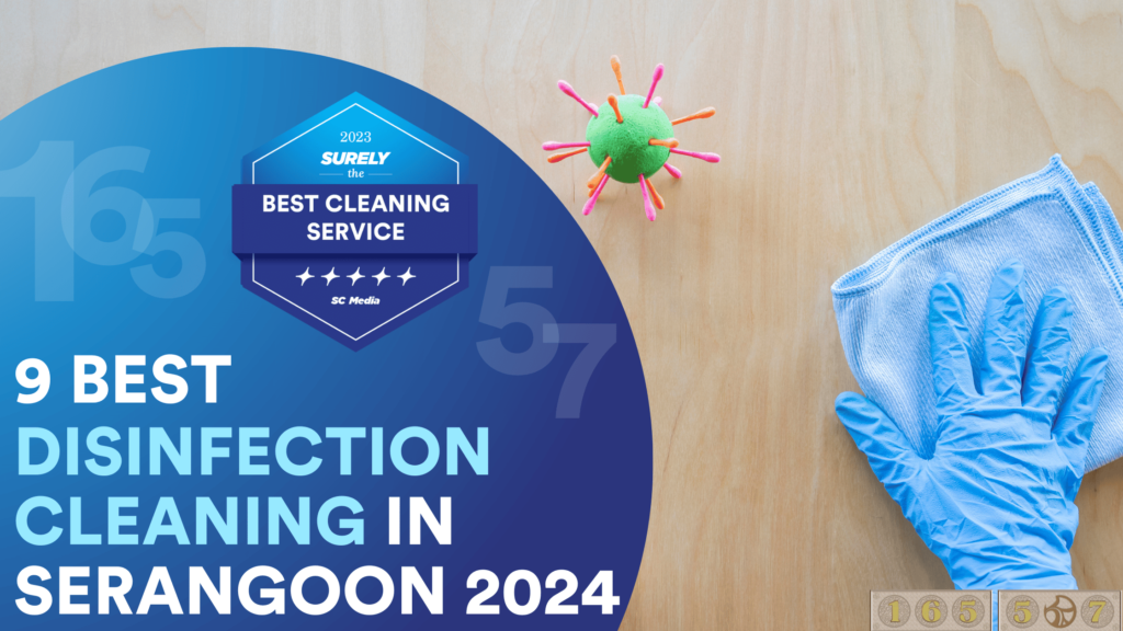 9 Best Disinfection Cleaning in Serangoon 2024