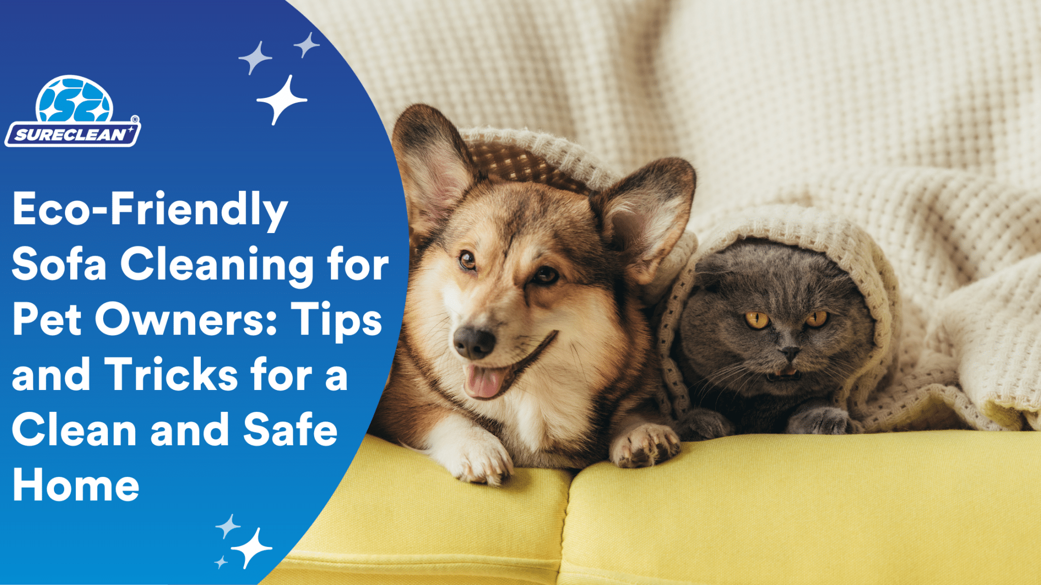 Visual Reference: Pet Safe Sofa Cleaner Singapore