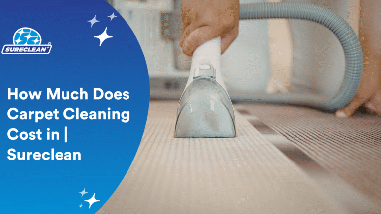 How Much Does Carpet Cleaning Cost | Sureclean Singapore