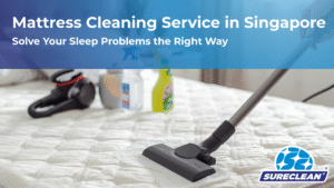 cleaning services singapore
