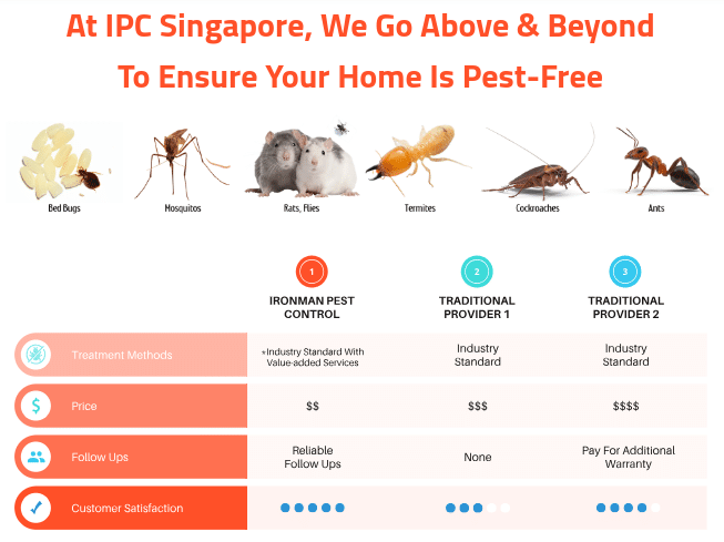 Ironman Pesr Control comparison with other bed bug exterminator in Singapore
