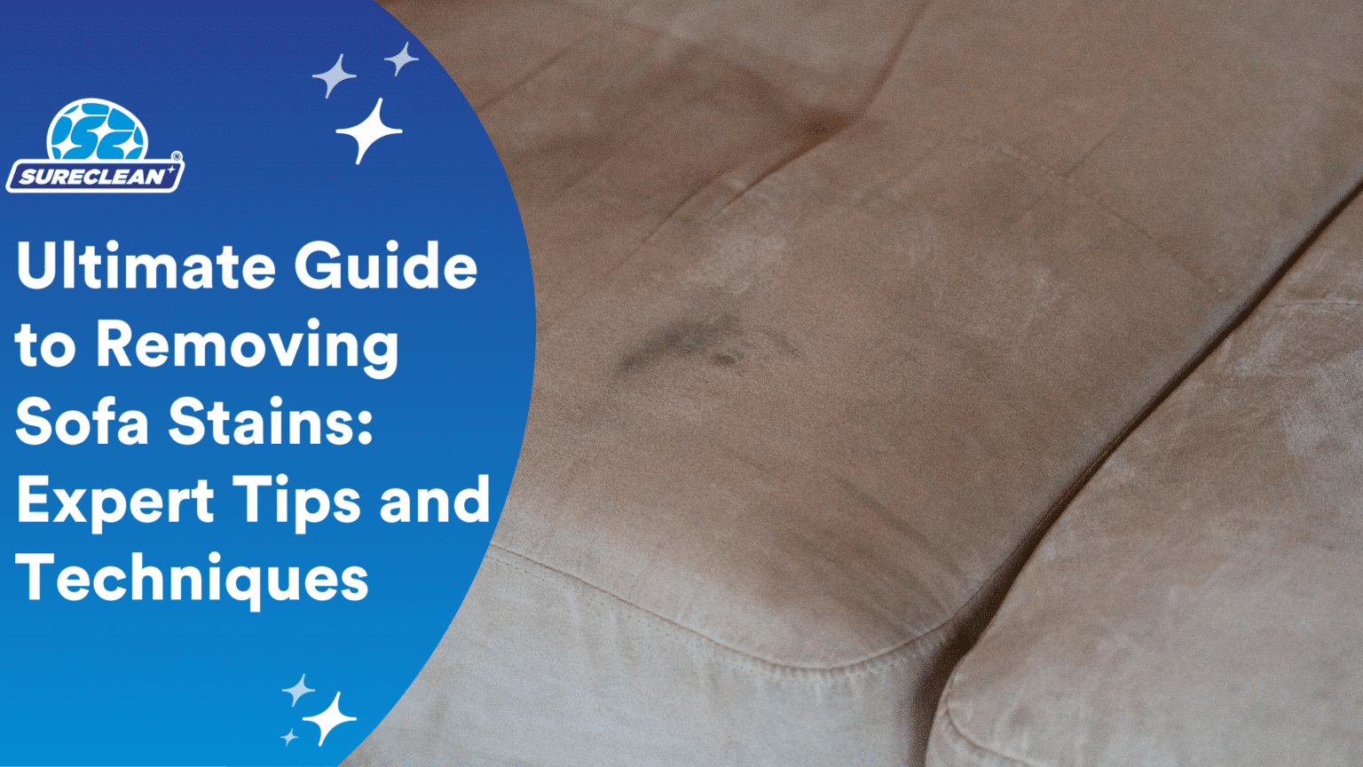 Expert Tips for Sofa Stain Removal: The Ultimate Guide | Sureclean