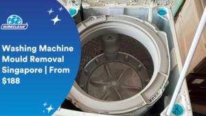 Washing Machine Mould Removal Singapore From 188 cleaning services singapore,home cleaning services singapore