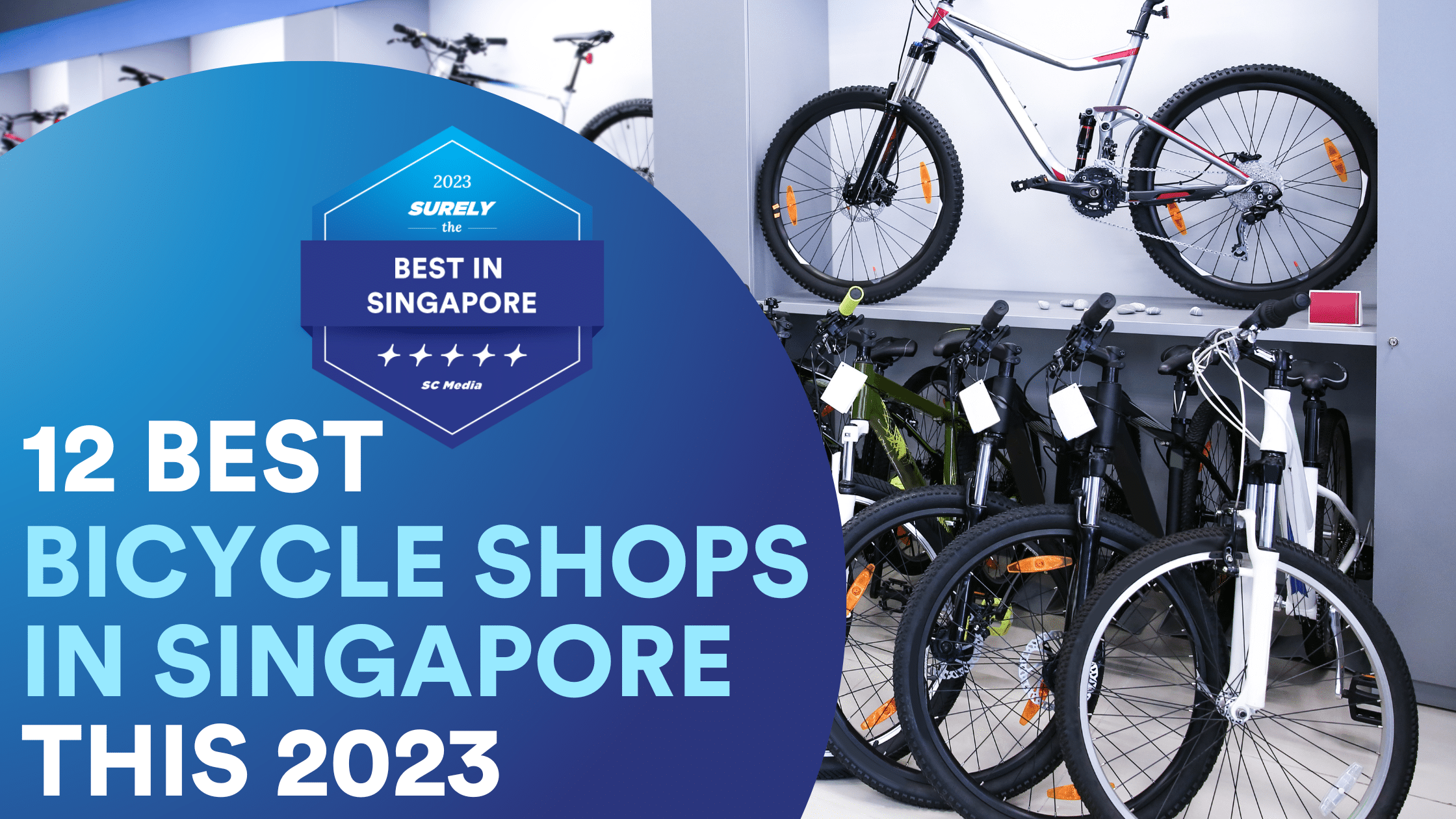 Singapore S 12 Best Bicycle For
