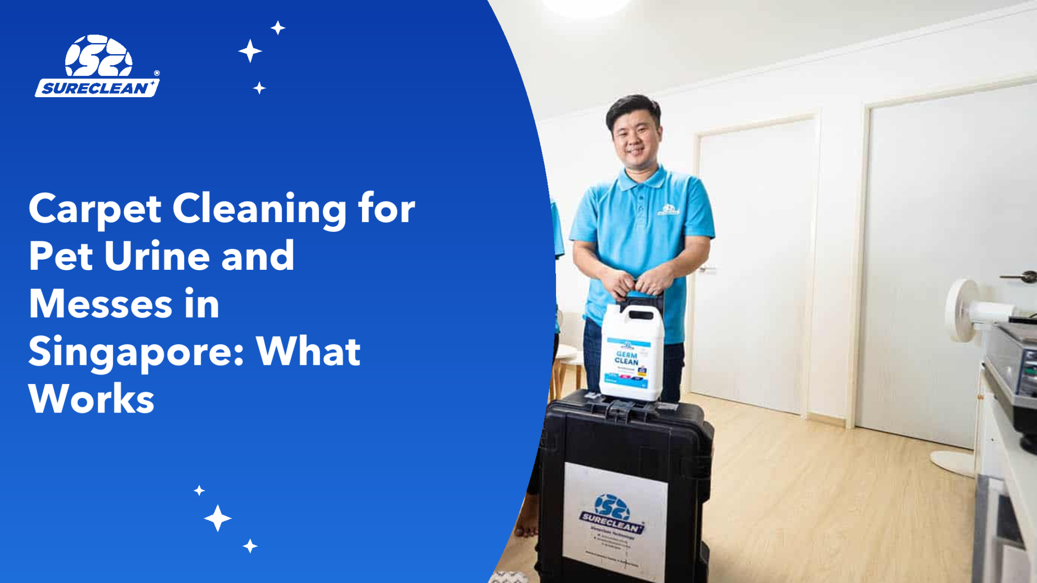 Carpet Cleaning Pet Urine Singapore: What Works