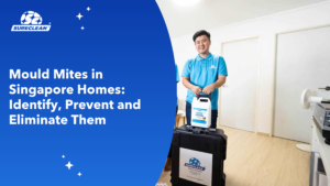 spring cleaning, deep cleaning, deep cleaning services singapore, spring cleaning services singapore
