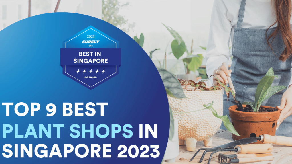 Surely's The Best in Singapore Digital Award Badge reads, 'Top 9 Best Plant Shops in Singapore' On the right side, there is a lady taking care of her plants