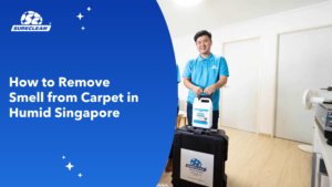 remove bad smell from carpet singapore cover carpet cleaning singapore, carpet cleaning services, rug cleaning singapore, upholstery cleaning singapore